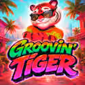 Grooving Tiger